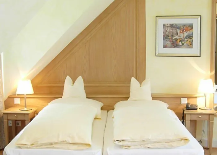 カルチャーブラウライ 3* ハイデルベルク