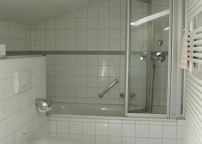 ホテル カルチャーブラウライ 3*