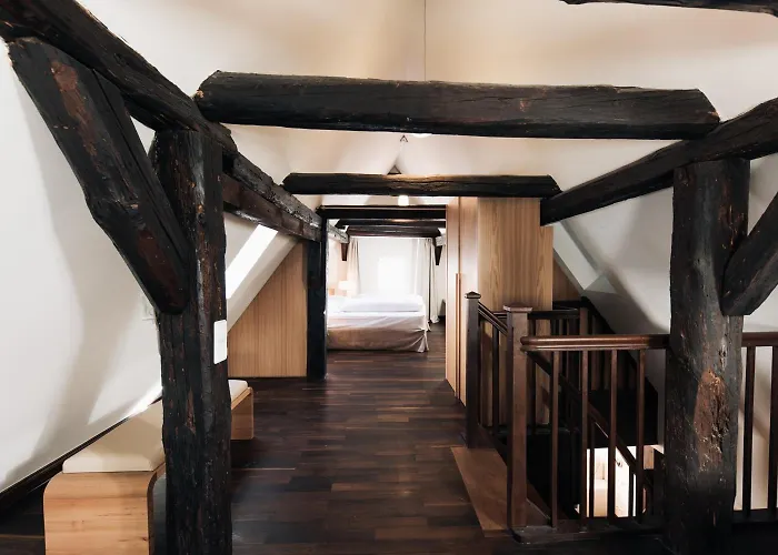 カルチャーブラウライ ホテル ハイデルベルク