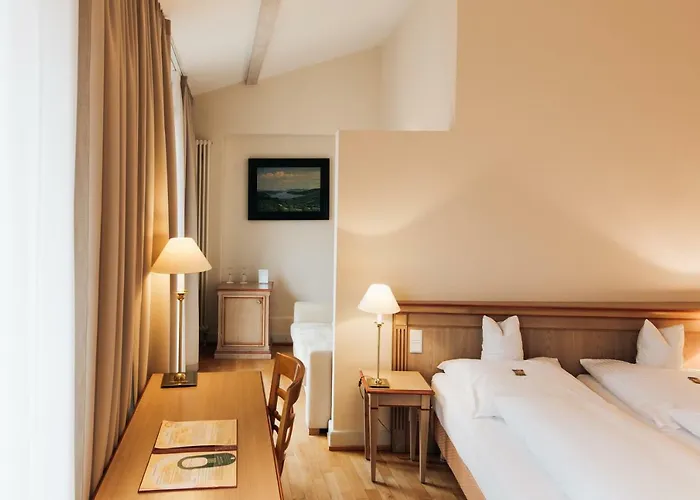 カルチャーブラウライ 3* ハイデルベルク