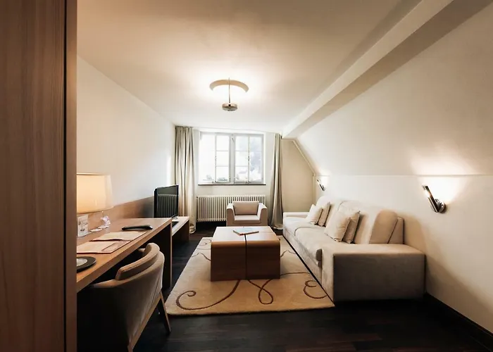 カルチャーブラウライ 3* ハイデルベルク