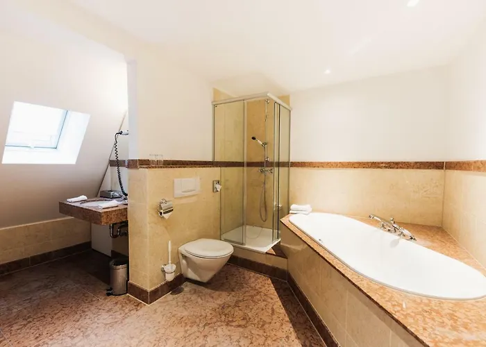 カルチャーブラウライ 3* ハイデルベルク